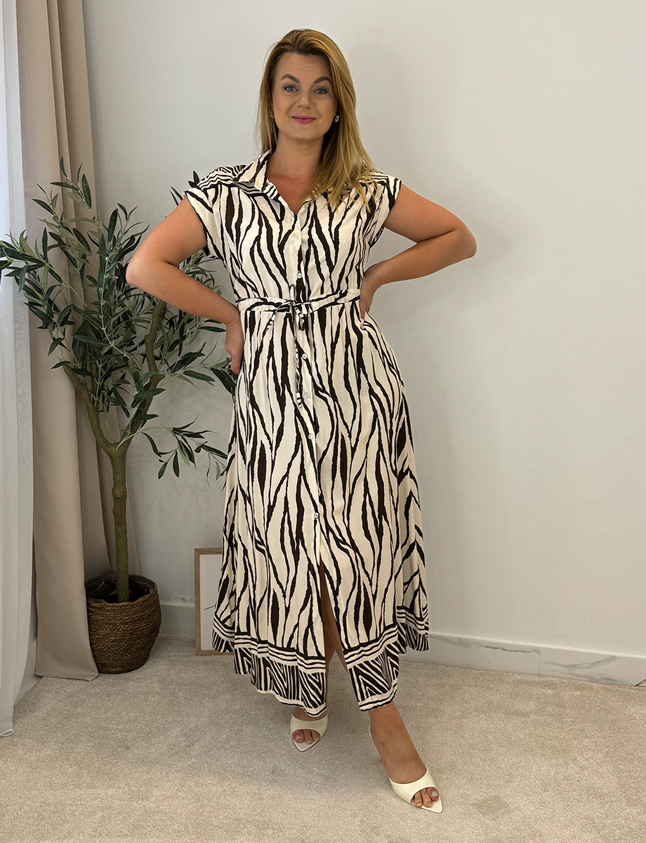 ZEBRA-BR-3.jpg