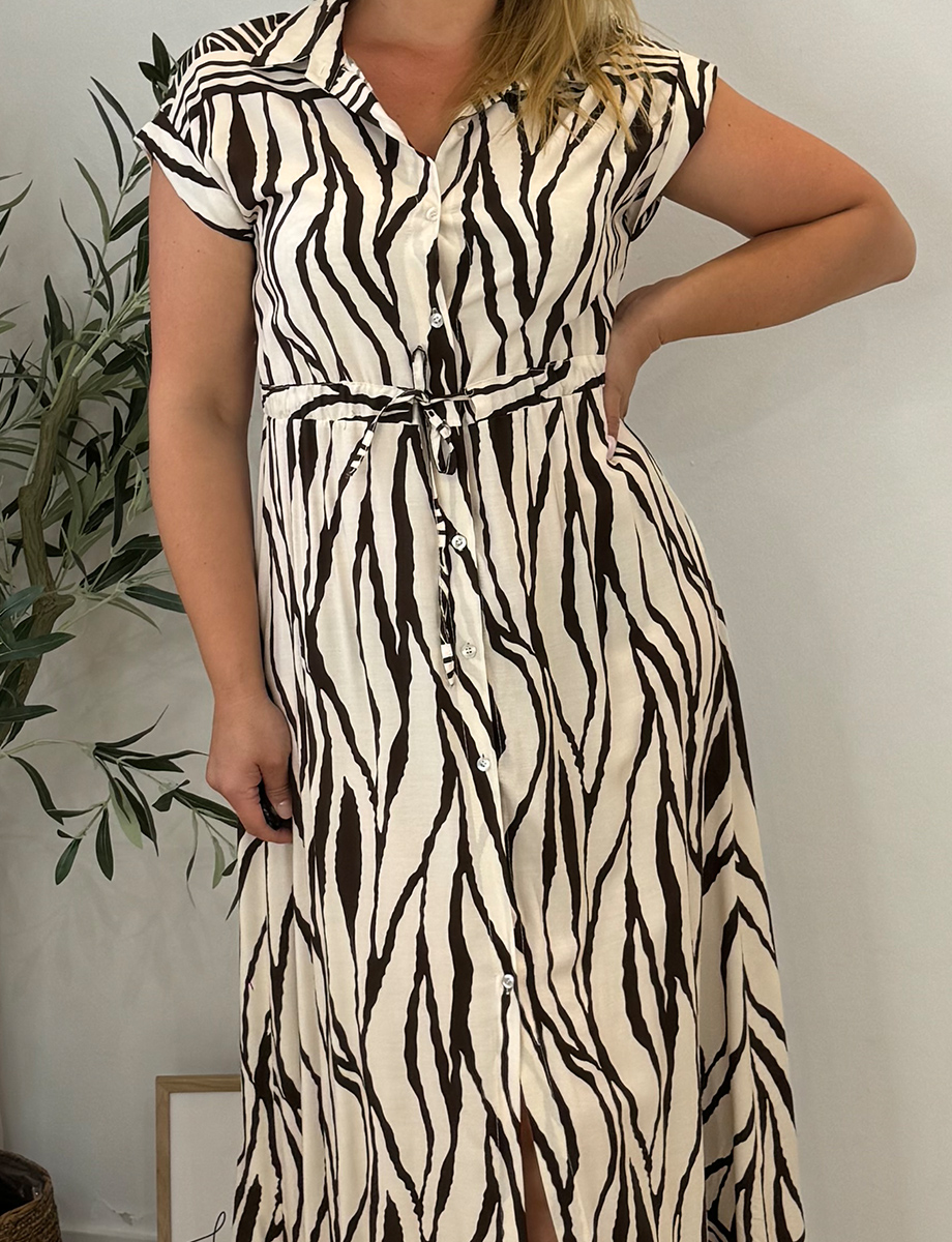 ZEBRA-BR-5.jpg